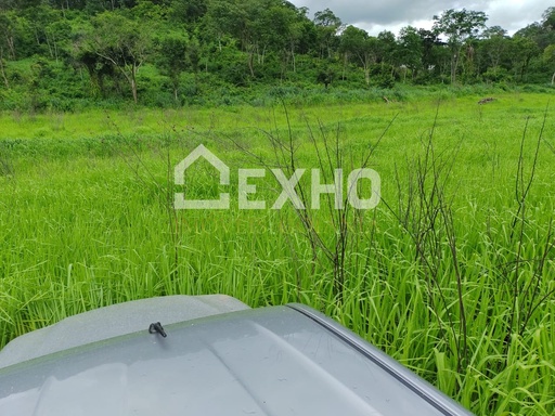 Fazenda/Sítios/Chácaras de 5 quartos, no bairro Área Rural, em Aurora do Tocantins | Eu Corretor