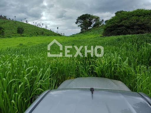 Fazenda/Sítios/Chácaras de 5 quartos, no bairro Área Rural, em Aurora do Tocantins | Eu Corretor