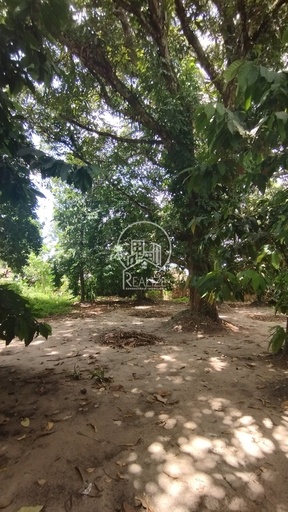 Fazenda/Sítios/Chácaras no bairro Dom Aristides, em Marituba | Eu Corretor