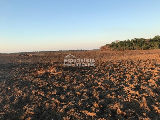 Fazenda/Sítios/Chácaras no bairro Zona Rural, em Humaitá | Eu Corretor
