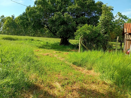 Fazenda/Sítios/Chácaras de 2 quartos, 300m² no bairro Ecatú, em Tanabi | Eu Corretor