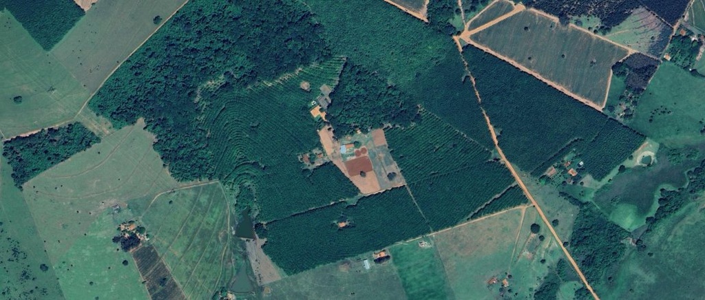 Captura de tela 2026-02-21 105326.png