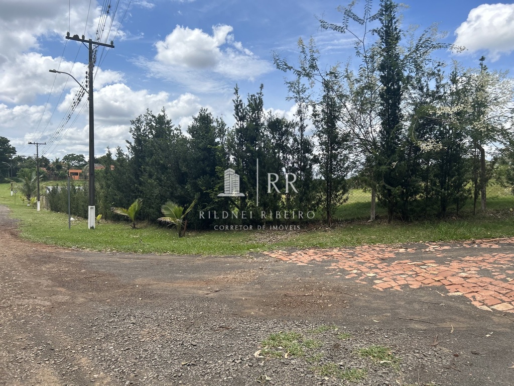 IMG_4291.jpeg