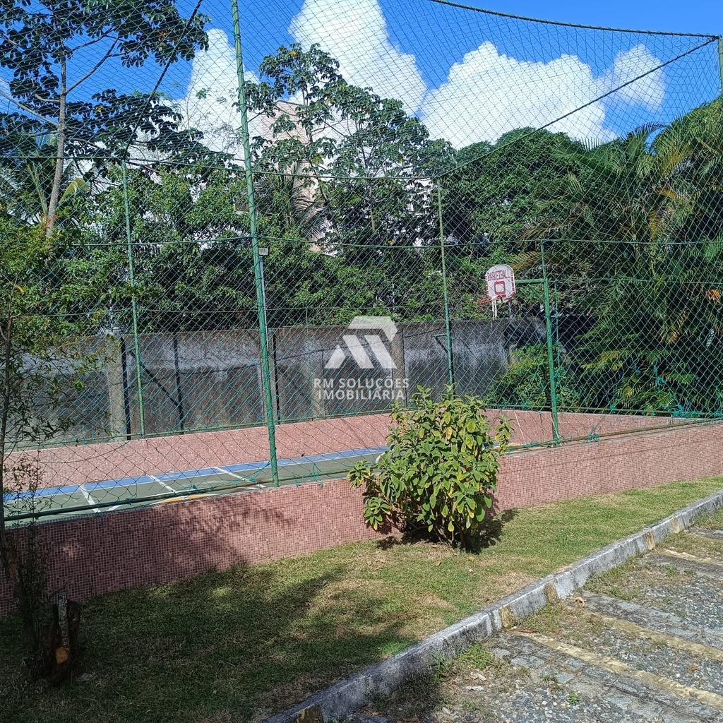 IMG-20260210-WA0064-1.jpg