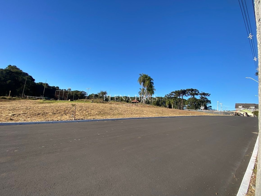 8a3e434d-bcc1-4218-8d1a-ad92dd83416a.jfif