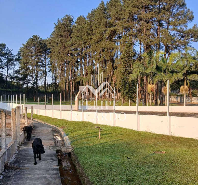 Captura de tela 2026-03-06 112826.png