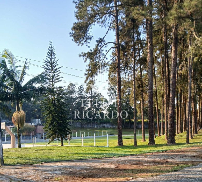 Captura de tela 2026-03-06 112929.png