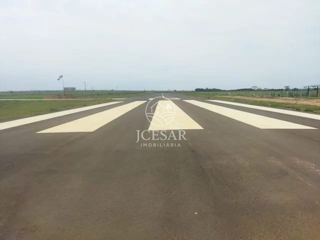 737336.jpg