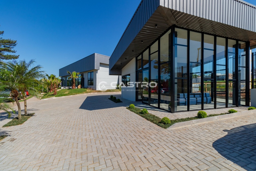 image-6.jpg