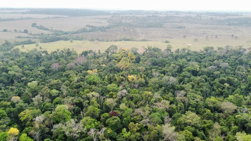 Fazenda/Sítios/Chácaras no bairro Área rural, em Cacoal | Eu Corretor