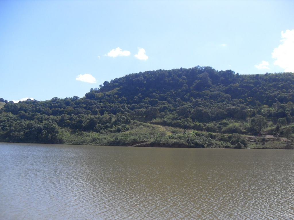 image_re_6413236.jpg