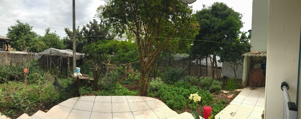 image_re_6416821.jpg