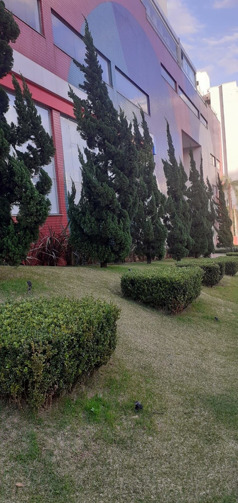 image_re_6417060.jpg