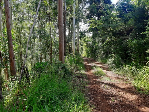 Fazenda/Sítios/Chácaras de 280000m² no bairro Alto da Serra, em Chapecó | Eu Corretor