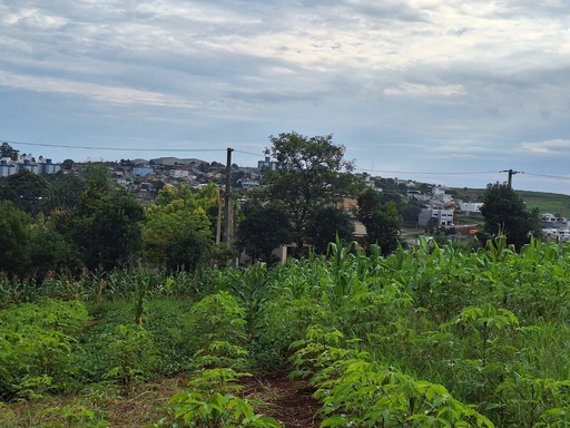 Chácara de 10192m² no bairro Centro, em Chapecó | Eu Corretor