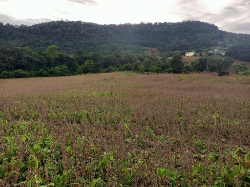 Fazenda/Sítios/Chácaras no bairro BR 157, em Coronel Freitas | Eu Corretor