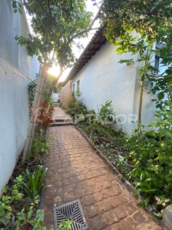 image_re_6456356.jpg