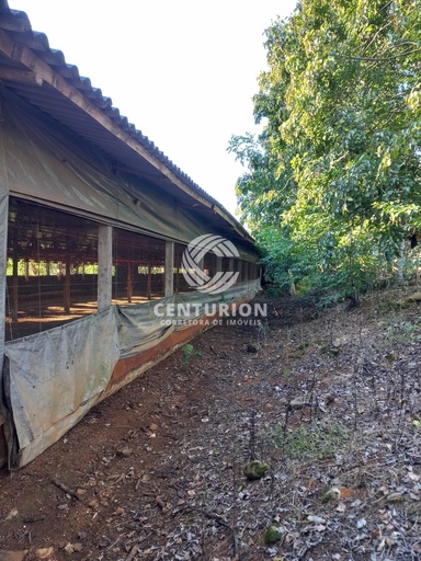 Fazenda/Sítios/Chácaras de 3 quartos, no bairro interior, em Jaborá | Eu Corretor