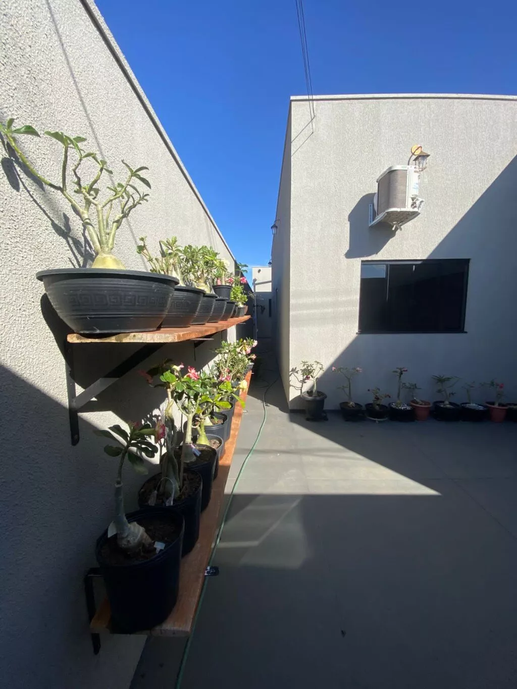 image_re_6469074.jpg