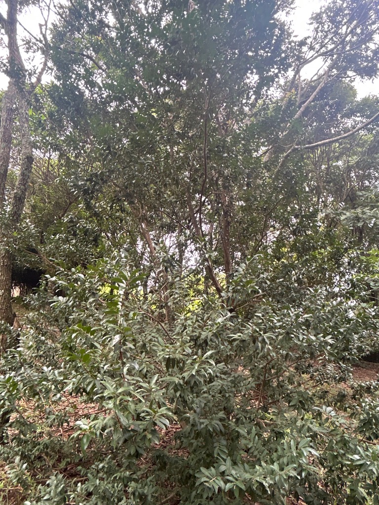 image_re_6494460.jpg