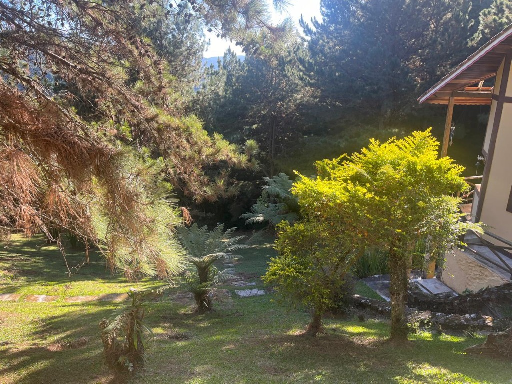 image_re_6496142.jpg