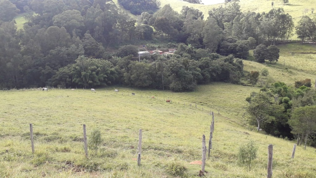 image_re_6496477.jpg