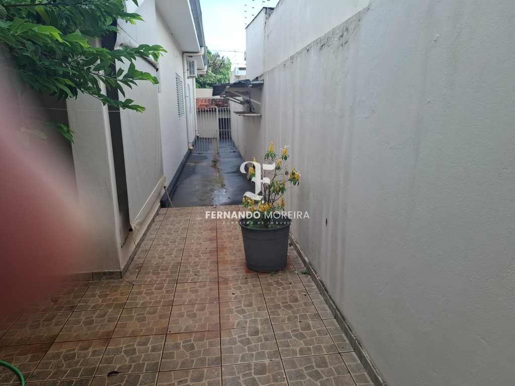 IMG_2953.jpeg