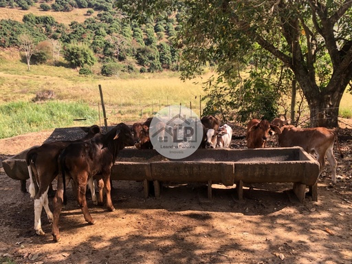 Fazenda/Sítios/Chácaras de 480000m² no bairro Carmo, em Carmo | Eu Corretor