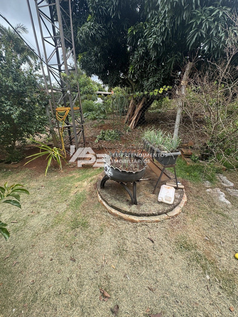 IMG_5782.jpeg