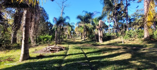 Chácara de 3 quartos, 130075m² no bairro Povoado de São Lourenço , em São João do Triunfo | Eu Corretor