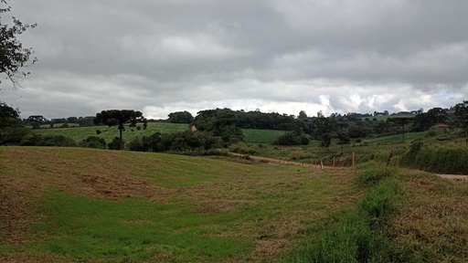 Lote/Terreno de 20m² no bairro Tronco, em Castro | Eu Corretor