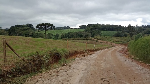 Lote/Terreno de 20m² no bairro Tronco, em Castro | Eu Corretor