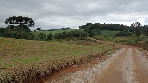 Lote/Terreno de 20m² no bairro Tronco, em Castro | Eu Corretor