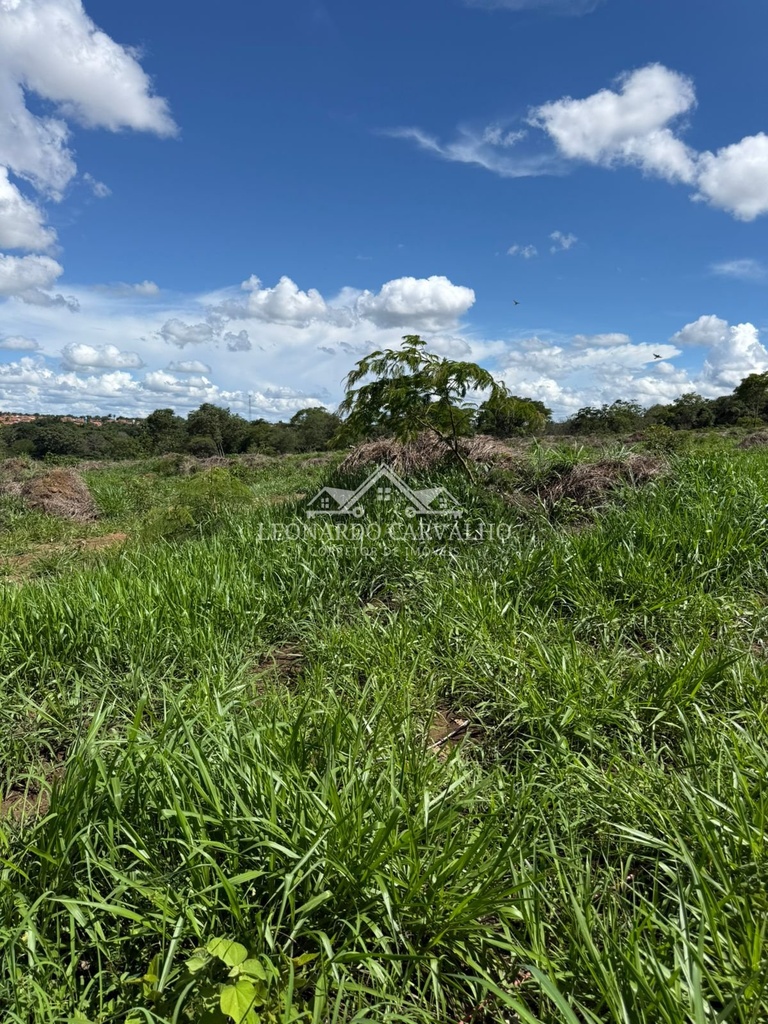 WhatsApp Image 2026-05-08 at 19.04.11 (3).jpeg