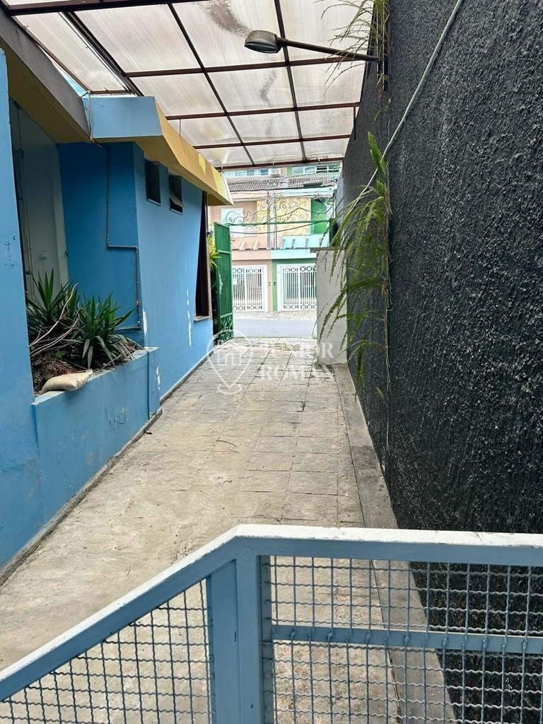 IMG_4769.jpeg