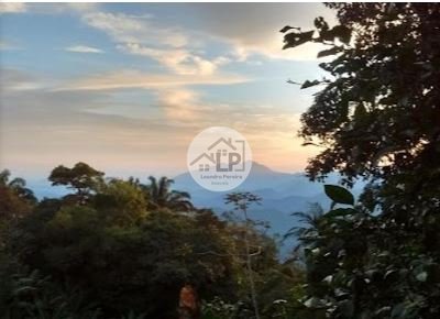 alecrim13.JPG