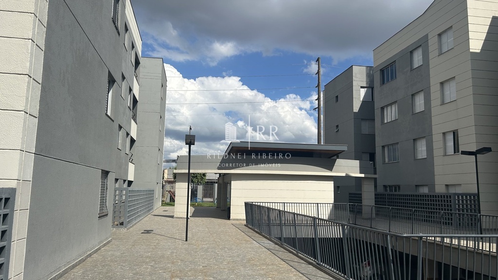 IMG_5265.jpeg