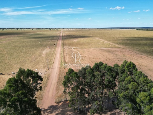 Fazenda/Sítios/Chácaras no bairro RURAL, em Barreiras | Eu Corretor