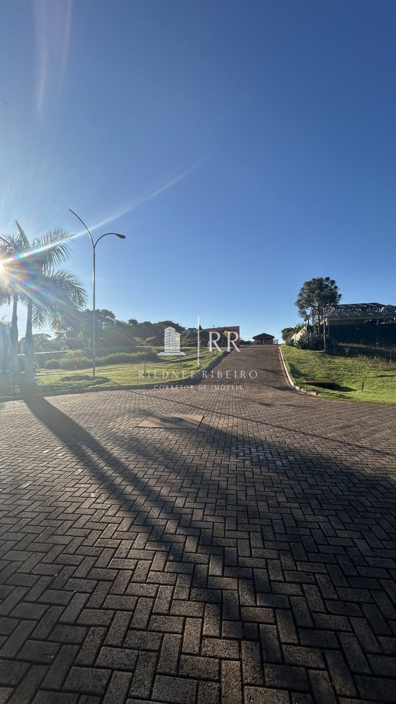 IMG_6208.jpeg