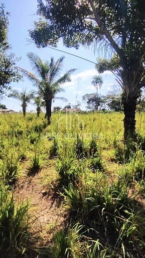 Fazenda/Sítios/Chácaras de 30m² no bairro Rural , em Cáceres | Eu Corretor