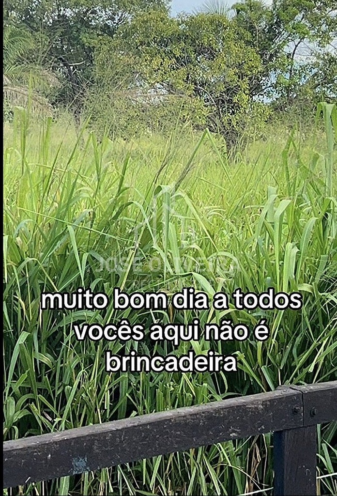 IMG_6411.jpeg