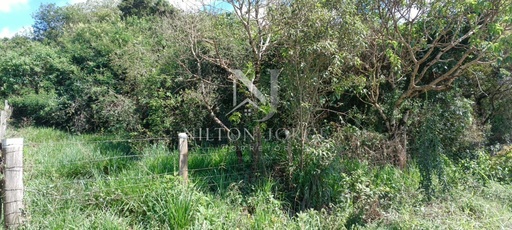 Lote/Terreno de 4765m² no bairro Congõnhas, em Jacutinga | Eu Corretor