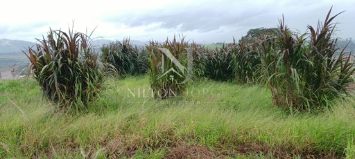 Lote/Terreno de 224m² no bairro Nova jacutinga , em Jacutinga | Eu Corretor
