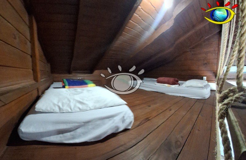 image_re_6699872.jpg
