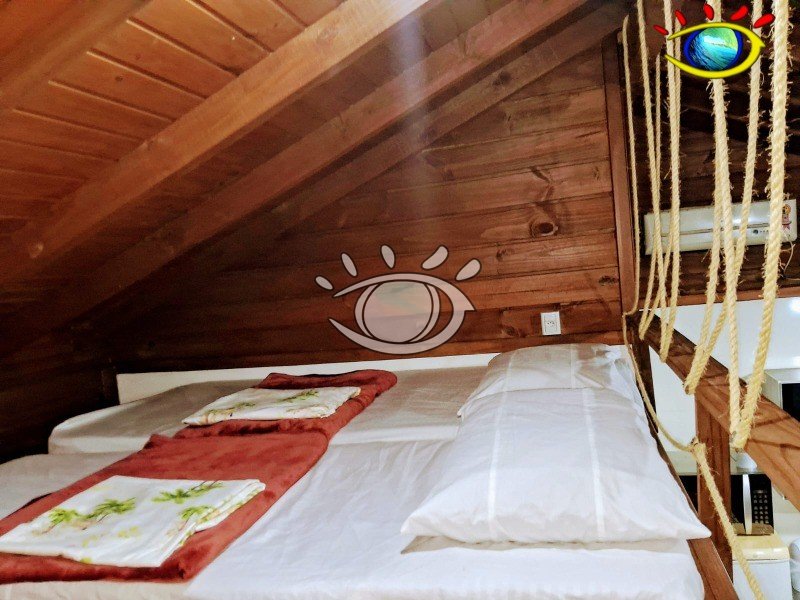 image_re_6699880.jpg