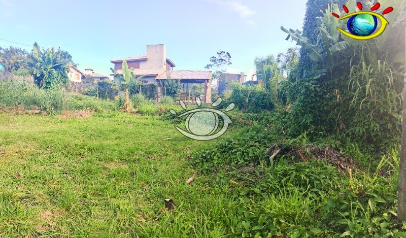 image_re_6700677.jpg
