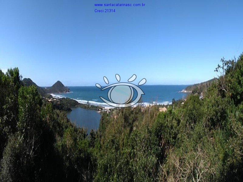 image_re_6702576.jpg