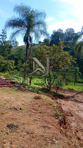 Chácara de 3 quartos, 5000m² no bairro Anhumas, em Cambuí | Eu Corretor