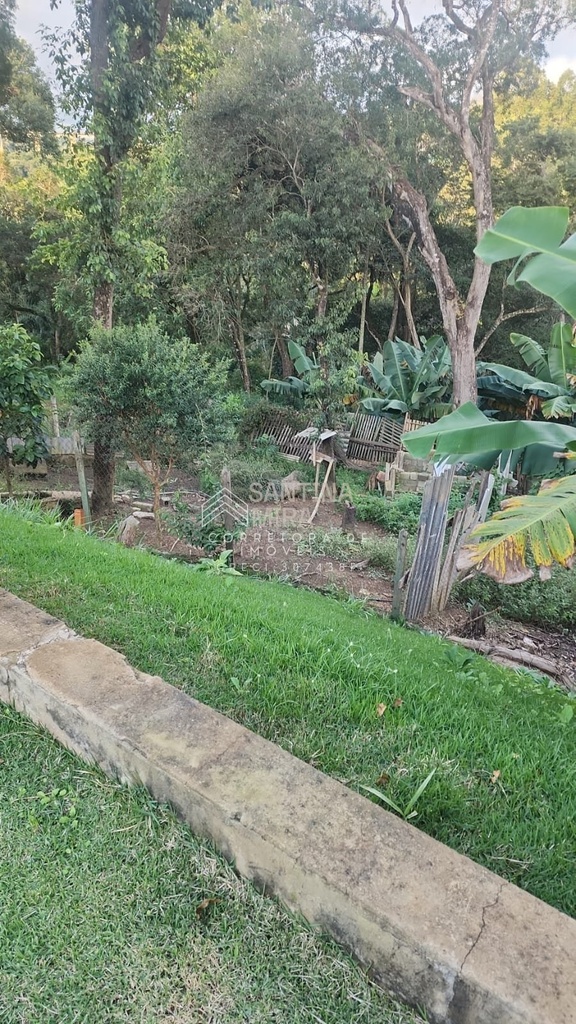 1001919505.jpg