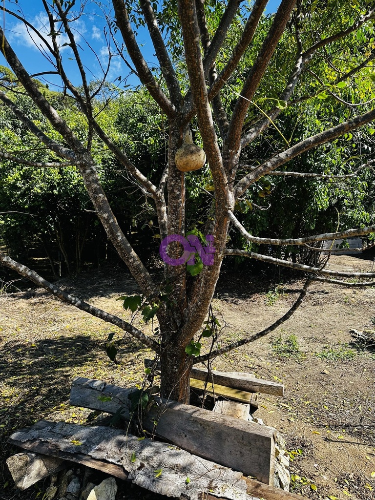 IMG_1968.jpeg